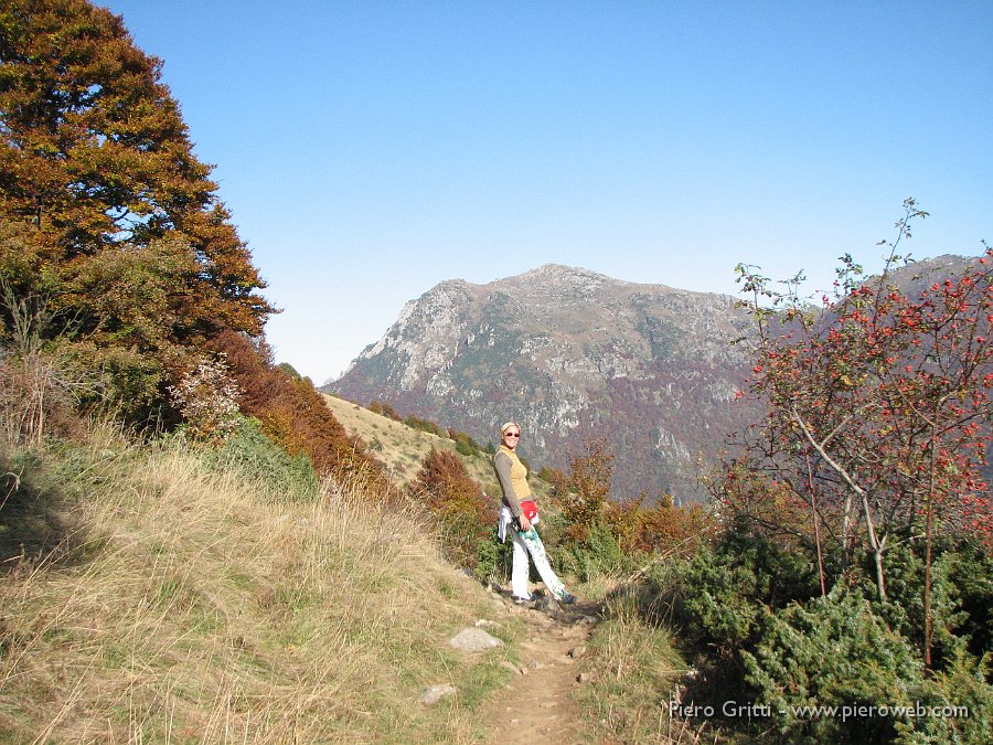 gherardi-lu 039.jpg - Faggi, rose canine, ginepro,  colorati  d'autunno con vista verso il Venturoa